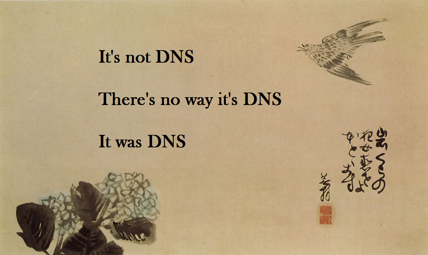 It’s always DNS
